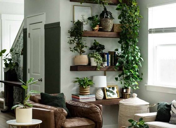 home decor ideas